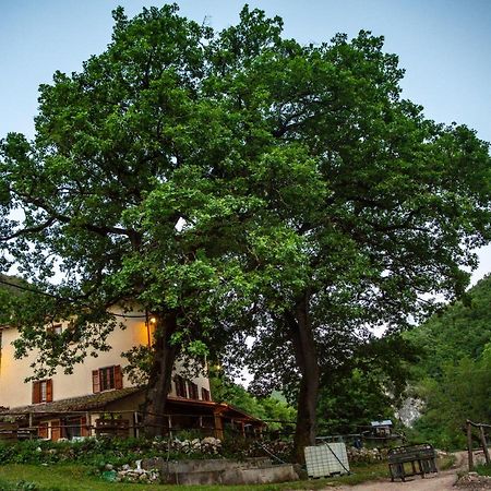 Agriturismo Le Due Querce Cerreto di Spoleto Zewnętrze zdjęcie