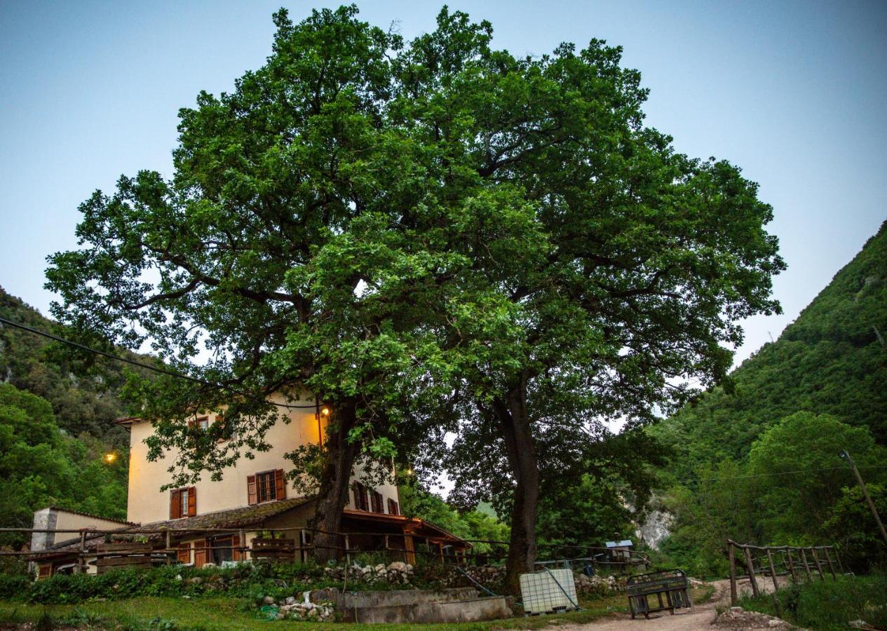 Agriturismo Le Due Querce Cerreto di Spoleto Zewnętrze zdjęcie